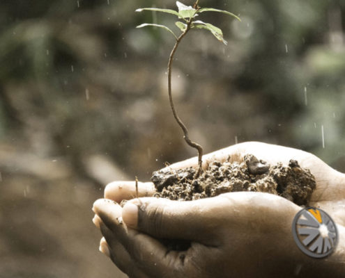 Banner image for charity apps blog post