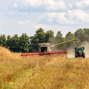 pexels-simonbb-14976214 ClaAS combine harvester cutting tall golden crops in a rural field under a cloudy blue sky, dust trailing behind the machine