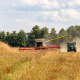 ClaAS combine harvester cutting tall golden crops in a rural field under a cloudy blue sky, dust trailing behind the machine