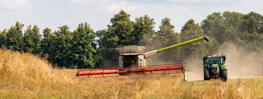ClaAS combine harvester cutting tall golden crops in a rural field under a cloudy blue sky, dust trailing behind the machine
